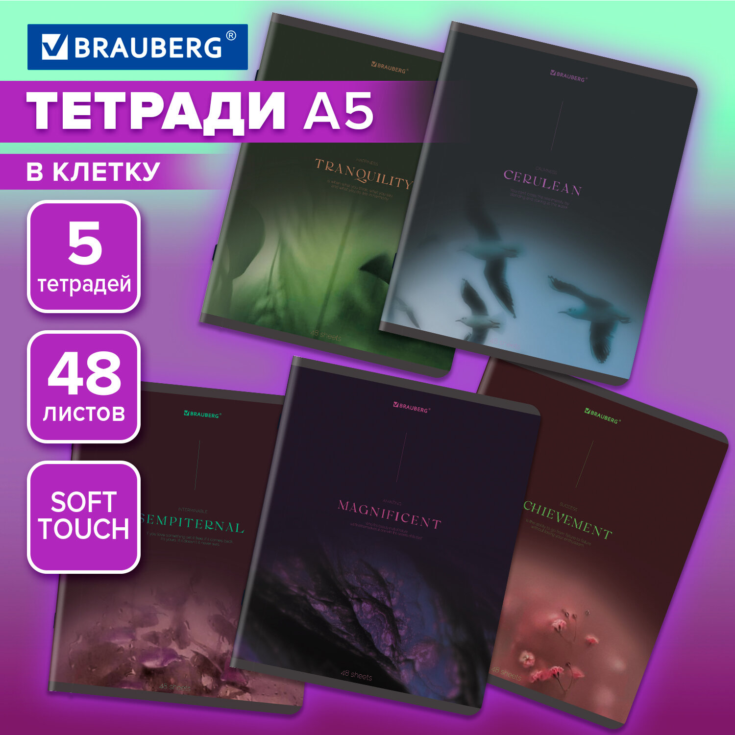 

Тетрадь Brauberg, 404926, А5 в клетку 48 листов для записей в школу и офис, набор 5 штук, 857