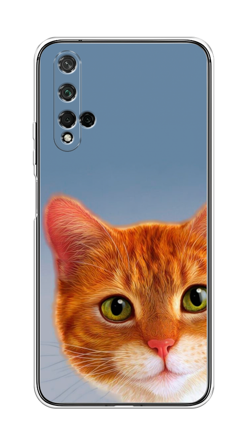 

Чехол на Honor 20/Huawei Nova 5T "Любопытный котик", Коричневый, 69550-1