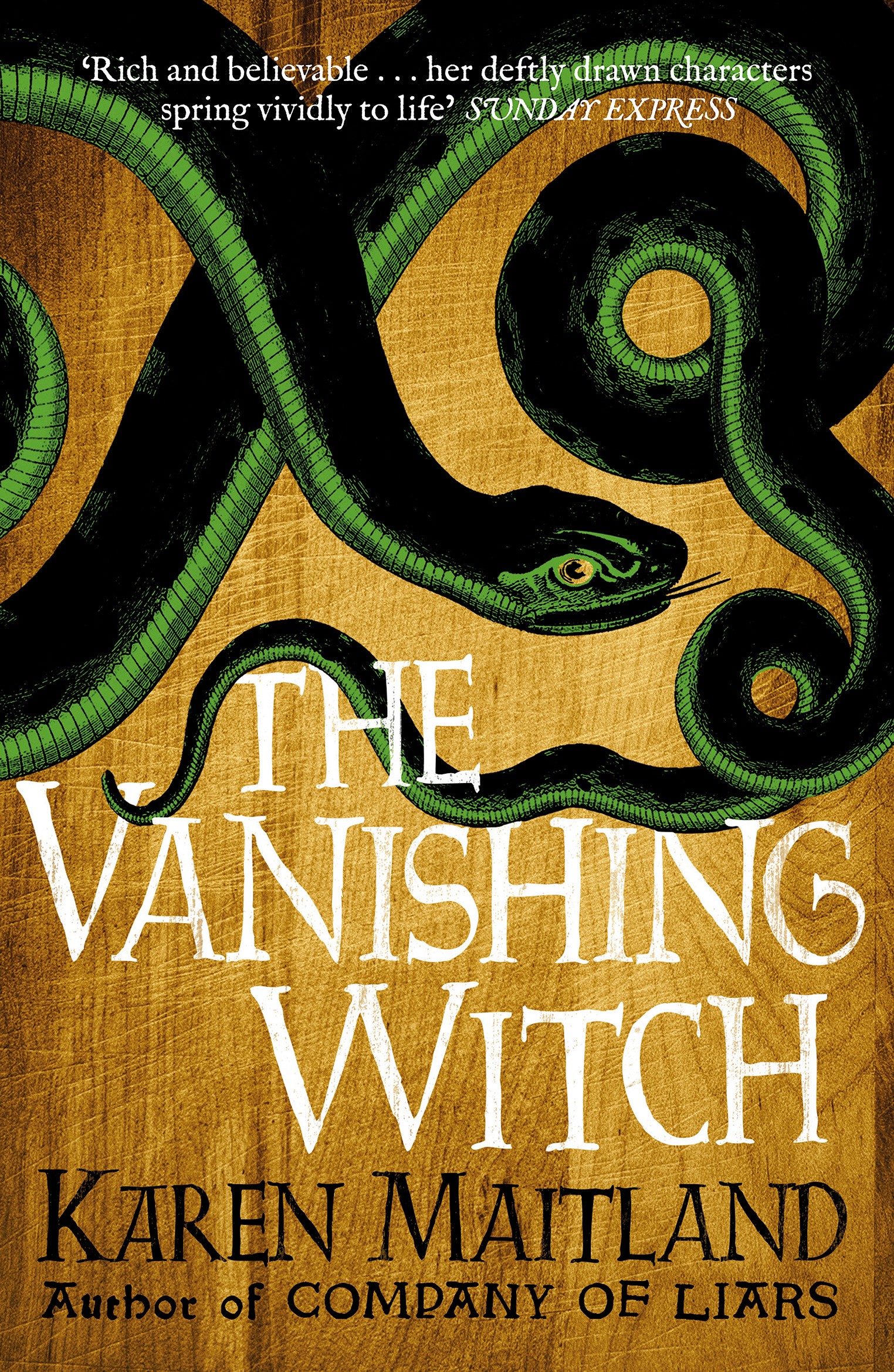 

The Vanishing Witch