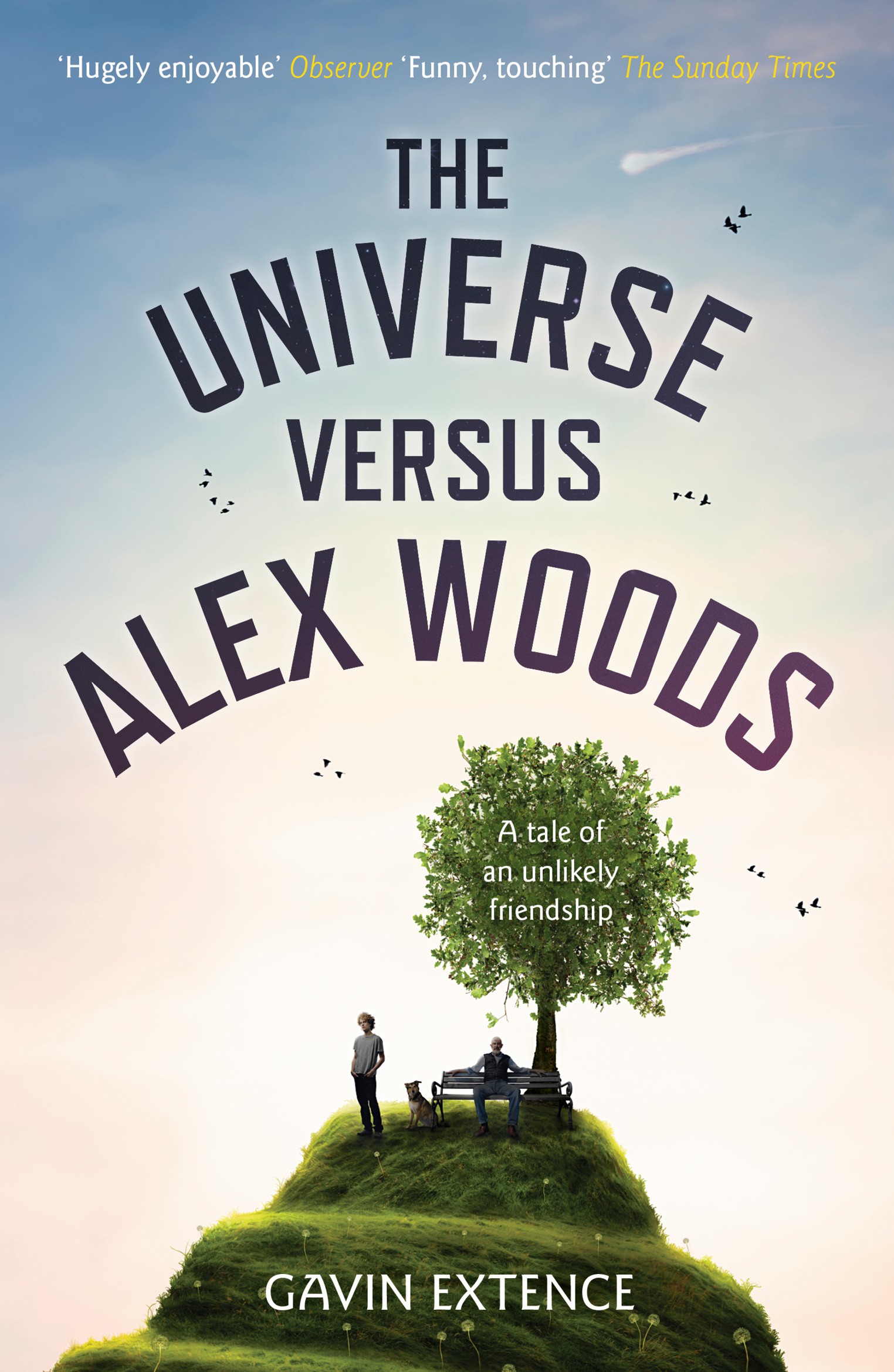 

The Universe versus Alex Woods