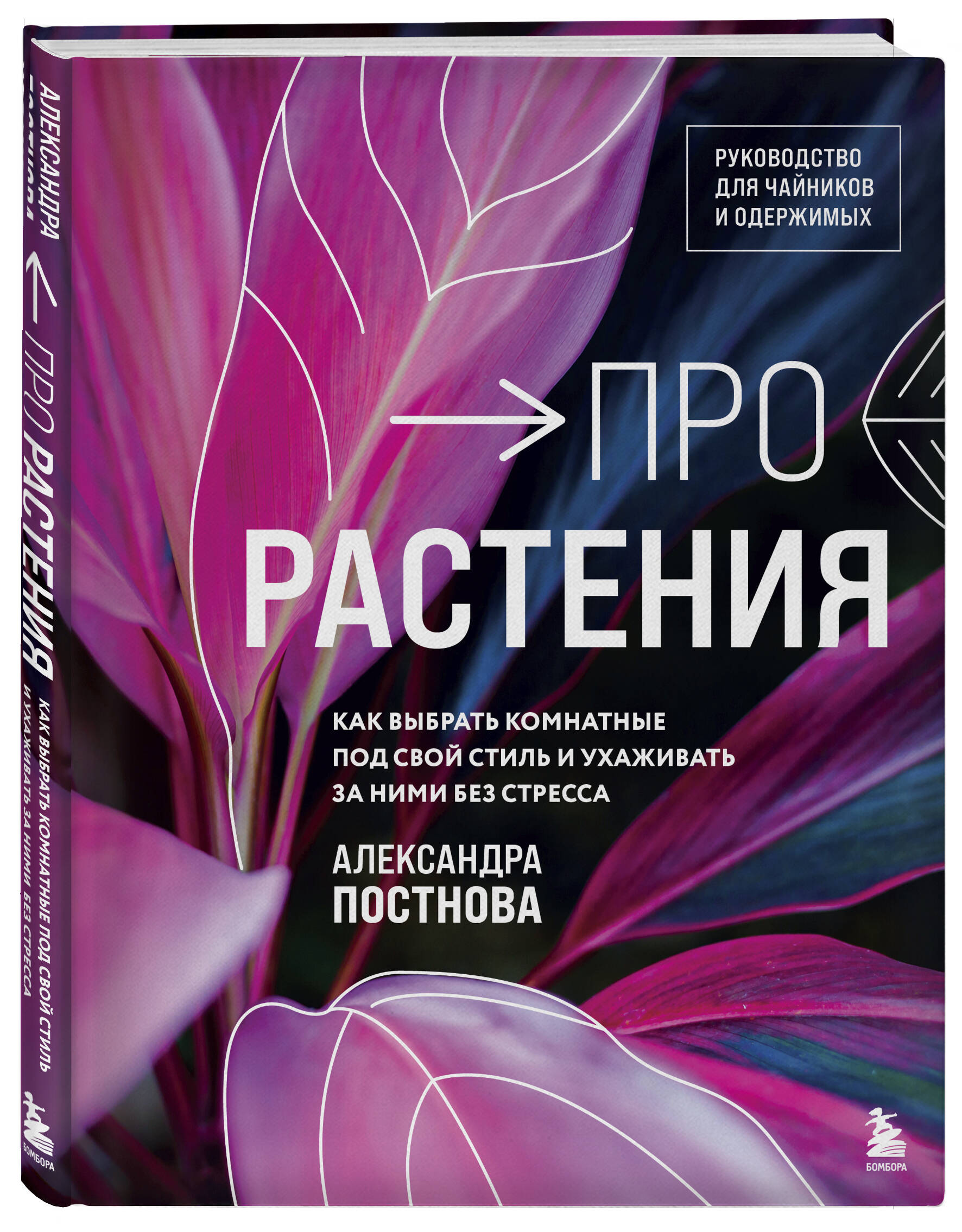 

Про растения Как выбрать комнатные под свой стиль и ухаживать за ними без стресса