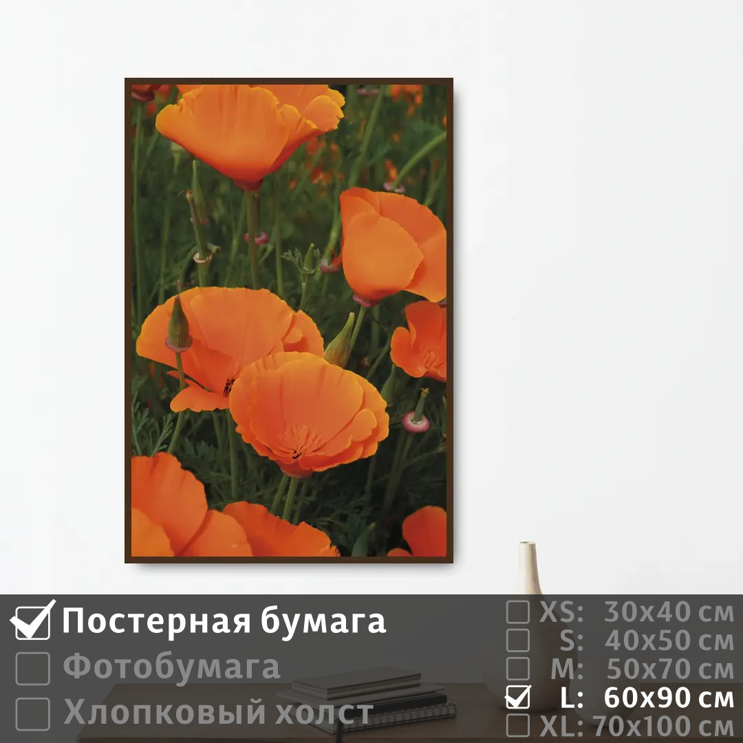 

Постер на стену ПолиЦентр Летние оранжевые маки 60х90 см, ЛетниеОранжевыеМаки