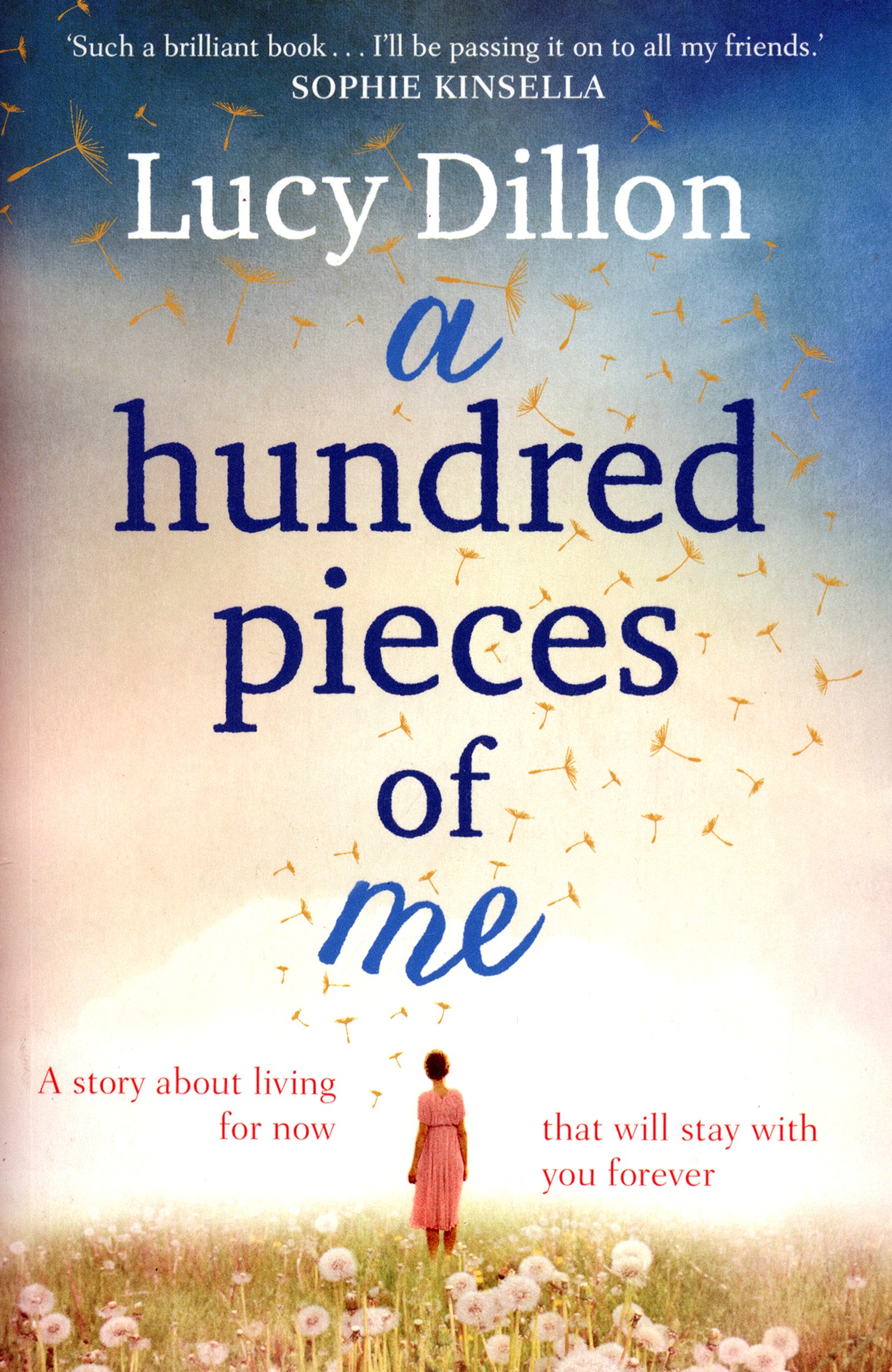 

A Hundred Pieces of Me