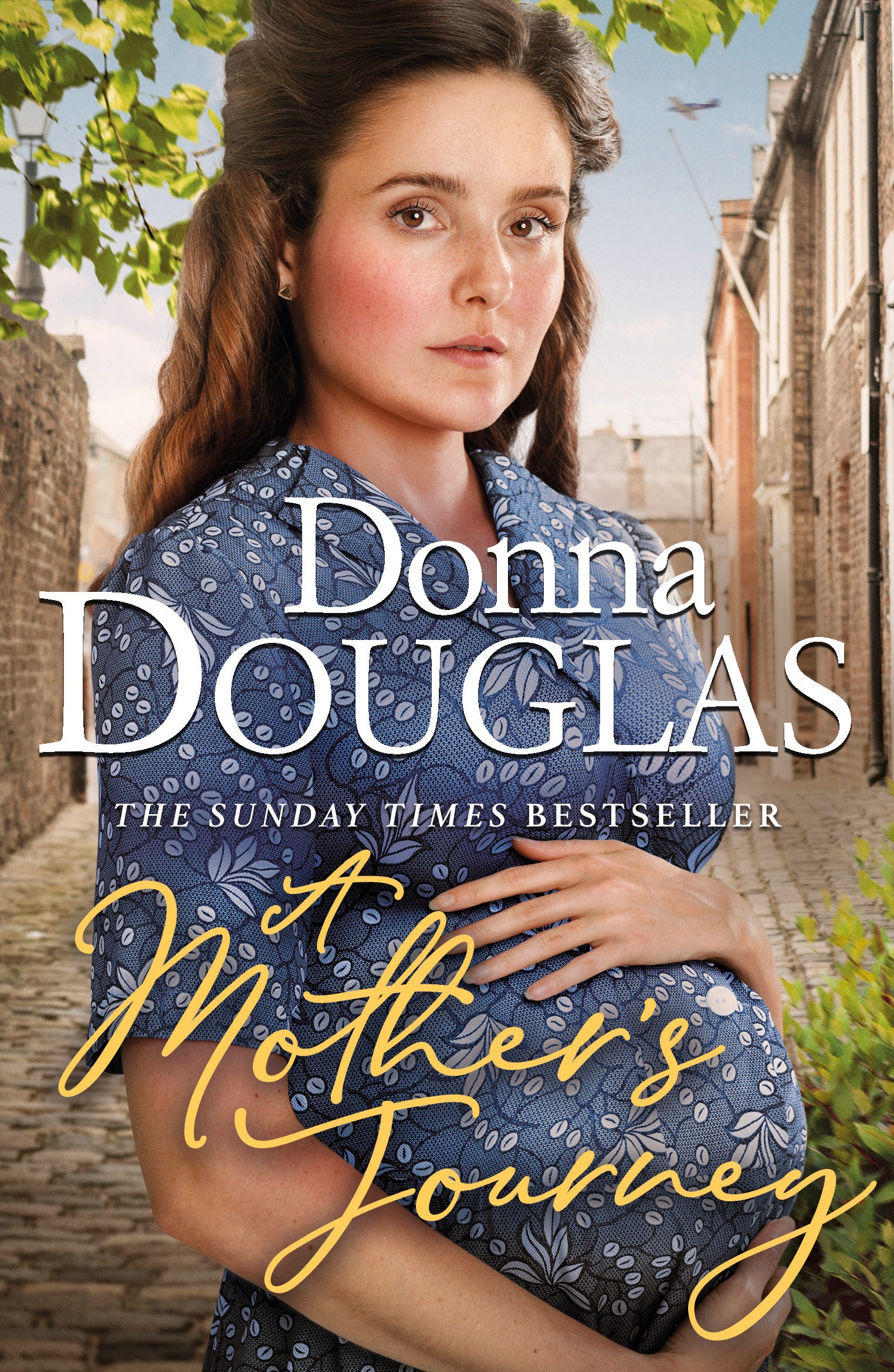 

A Mother's Journey