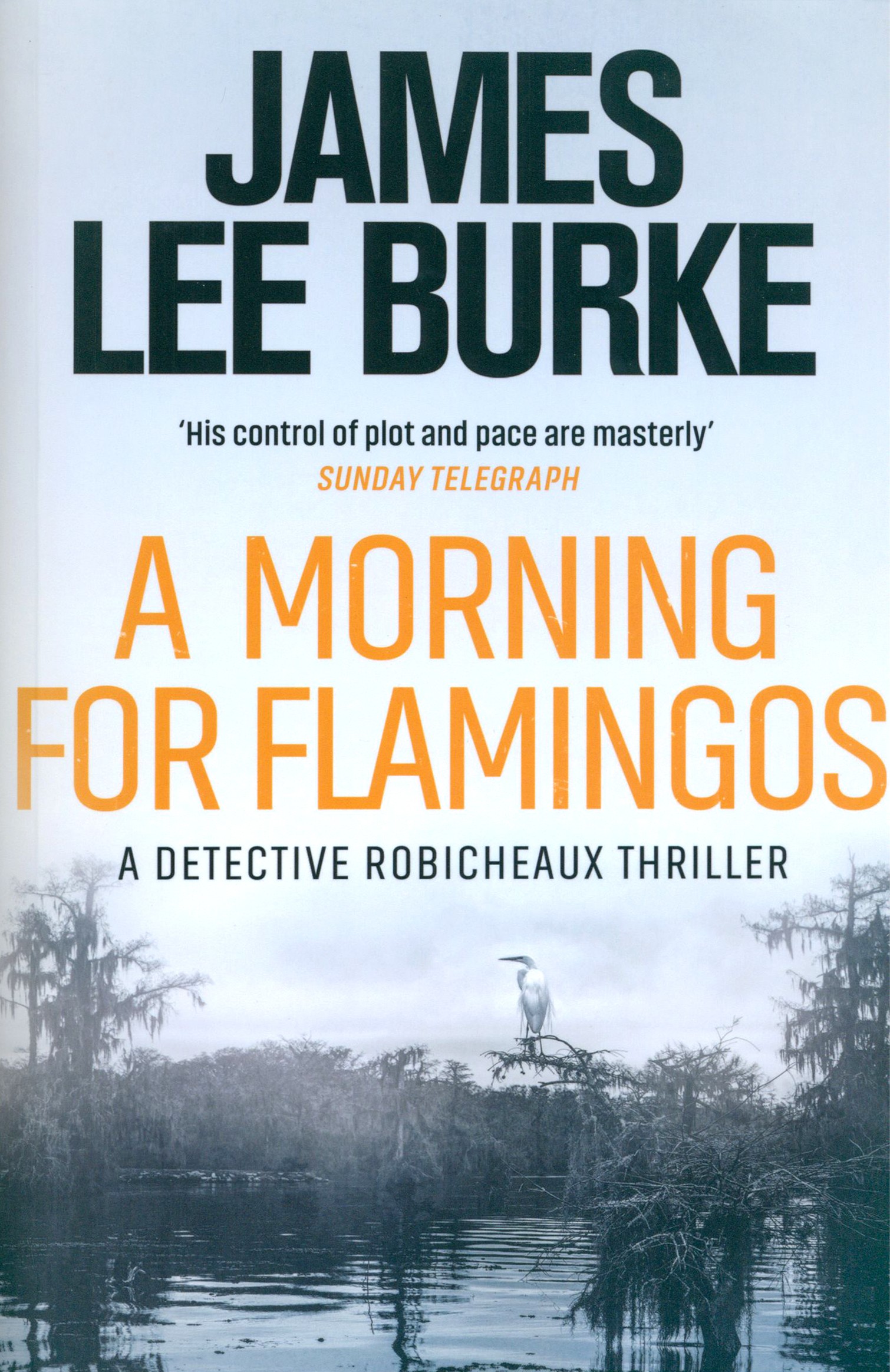 

A Morning For Flamingos