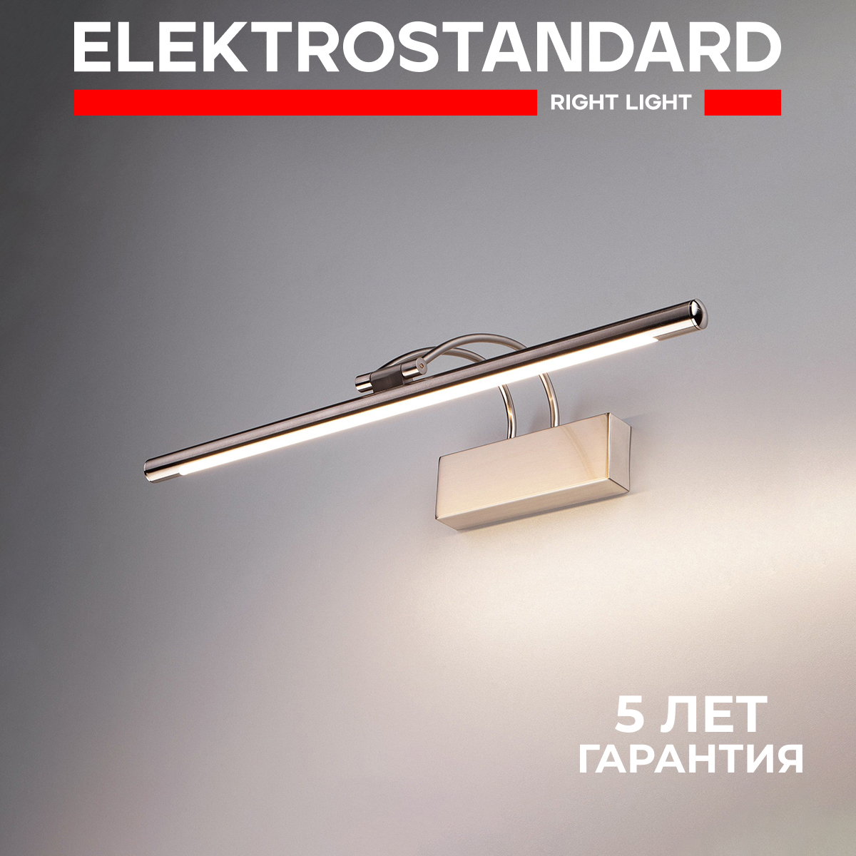 Светодиодный настенный светильник Евросвет 1011 Simple LED 10W IP20 никель