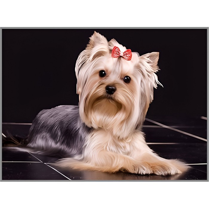 

Алмазная мозаика Milato Любимец, 40x30 см, Любимец