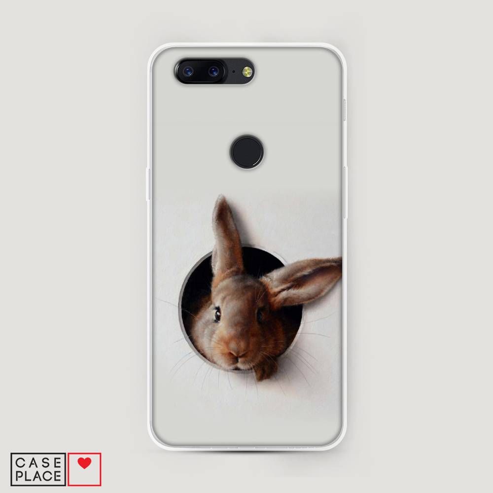

Чехол на OnePlus 5T "Любопытный кролик", Серый;коричневый, 150350-1