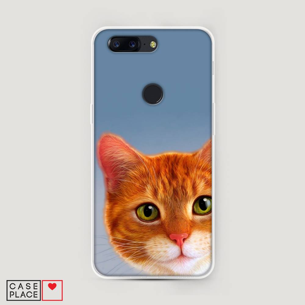 

Чехол на OnePlus 5T "Любопытный котик", Коричневый, 150350-1