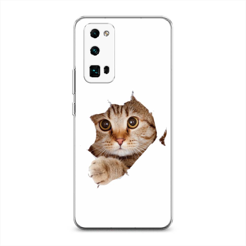 

Чехол на Honor 30 Pro Plus "Кот и бумага", Белый;коричневый, 612250-1