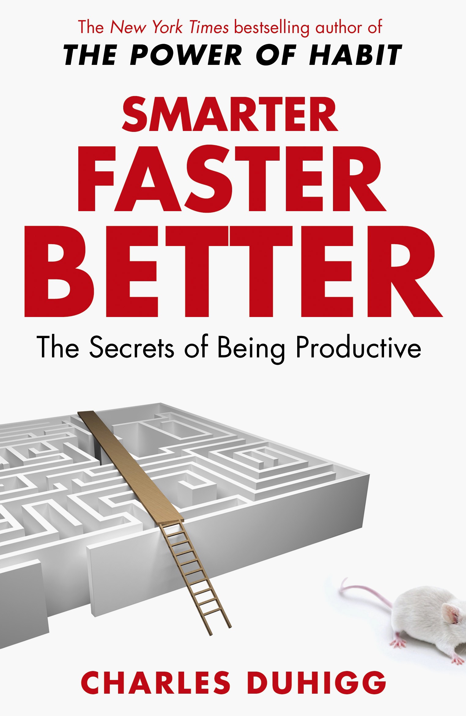 

Smarter Faster Better The Secrets of Being Productive