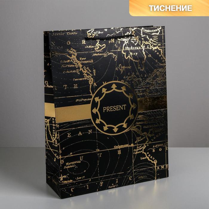 

Пакет Дарите Счастье Gold present 31 х 40 х 11,5 см, Черный