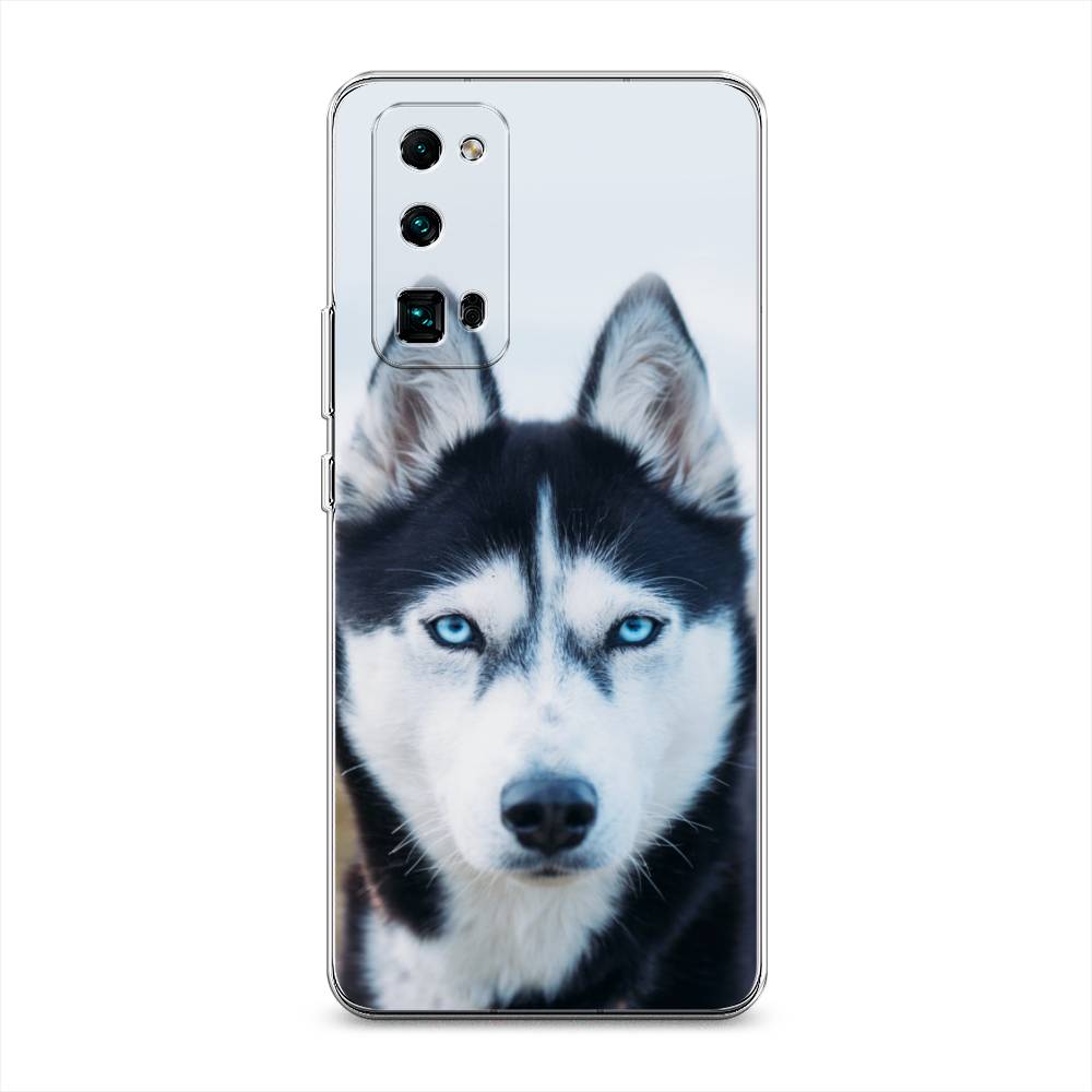 

Чехол на Honor 30 Pro Plus "Хаски 2", Синий;белый, 612250-1