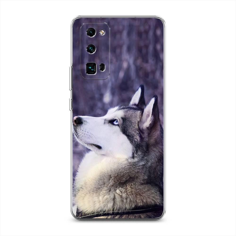 

Чехол на Honor 30 Pro Plus "Хаски 1", Фиолетовый;белый, 612250-1