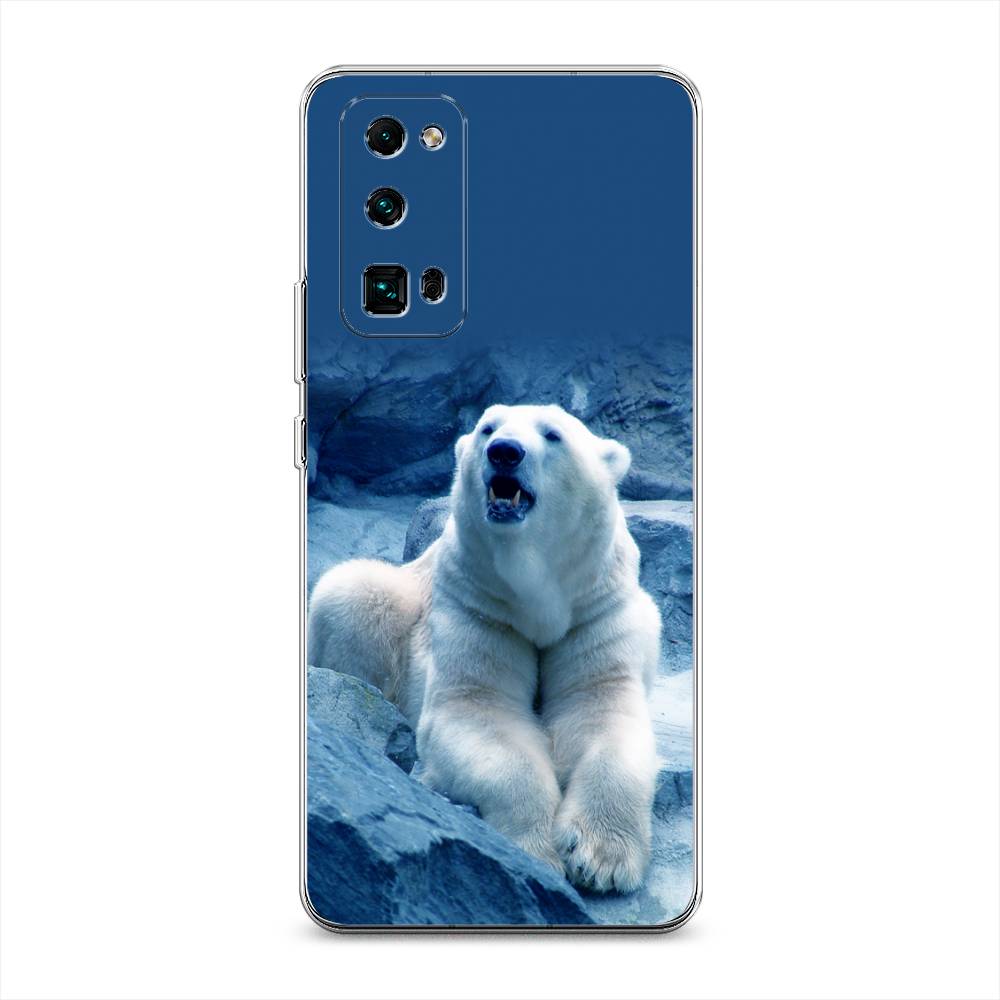 

Чехол на Honor 30 Pro Plus "Белый медведь", Голубой;белый, 612250-1