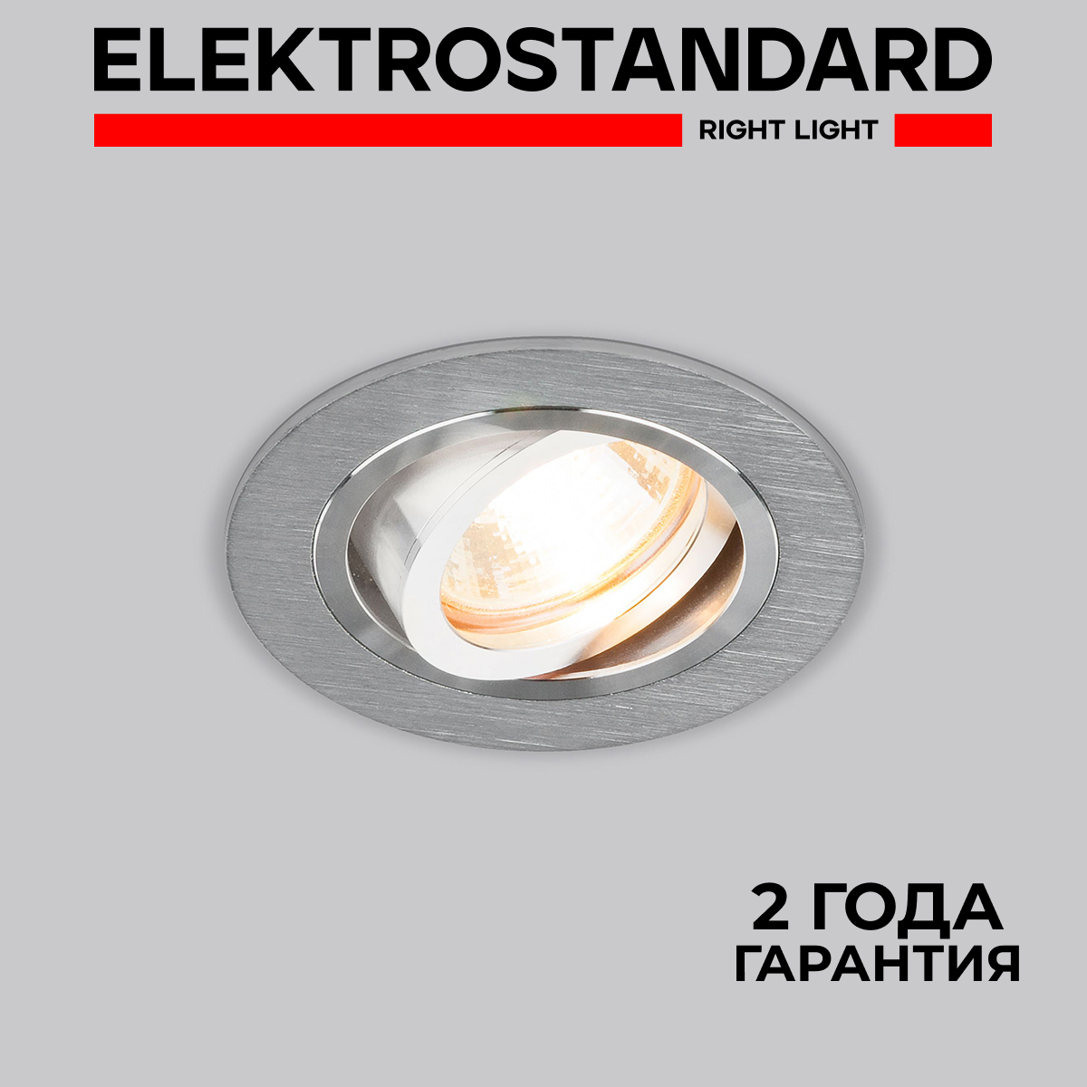 

Встраиваемый точечный повортный светильник Elektrostandard 1061/1 MR16 SL Серебро