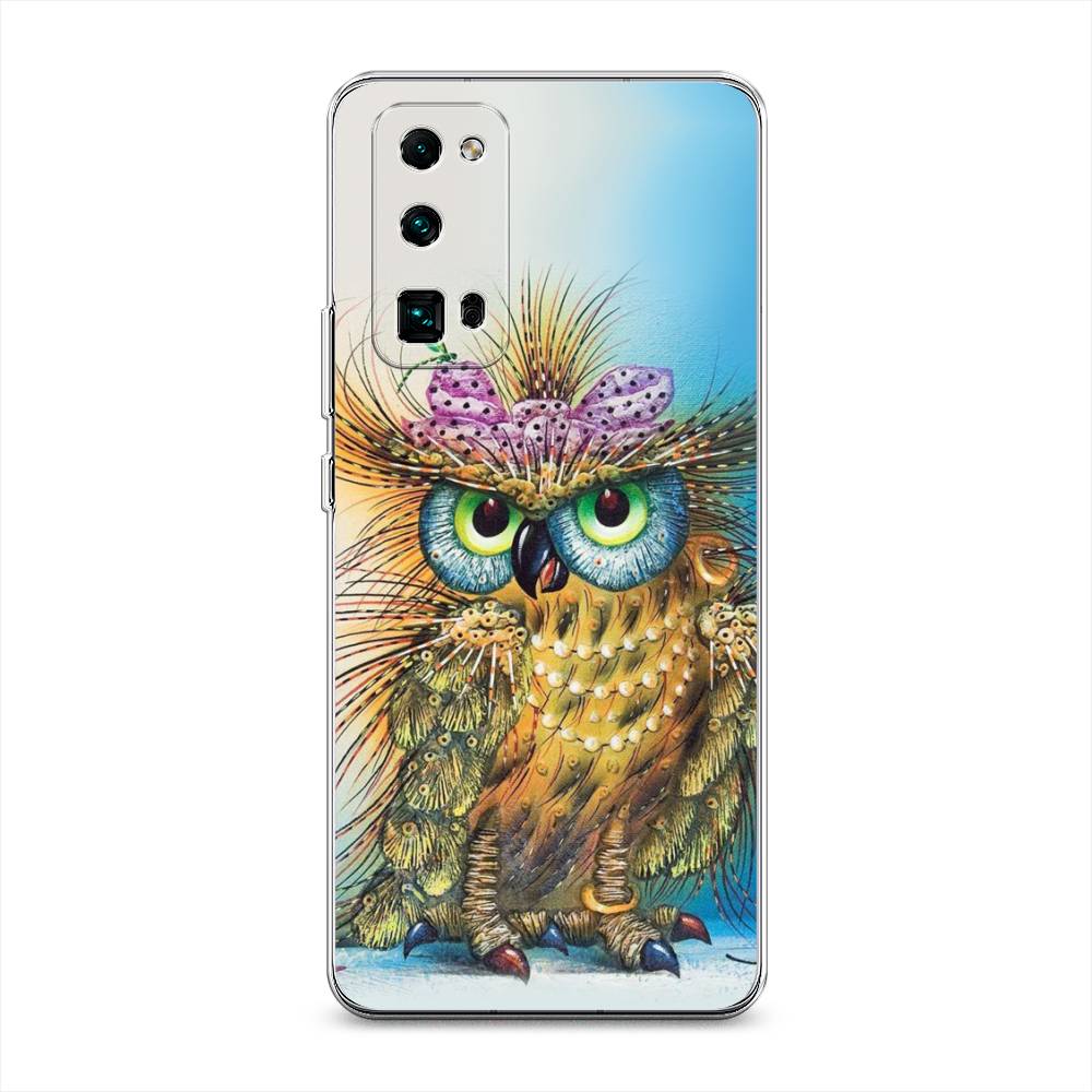 

Чехол на Honor 30 Pro Plus "Модная сова", Коричневый;голубой, 612250-1