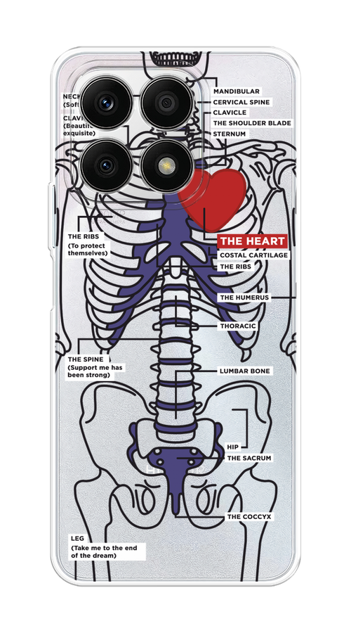 

Чехол на Honor X8A "Скелет человека", Прозрачный;синий;красный, 6120750-1