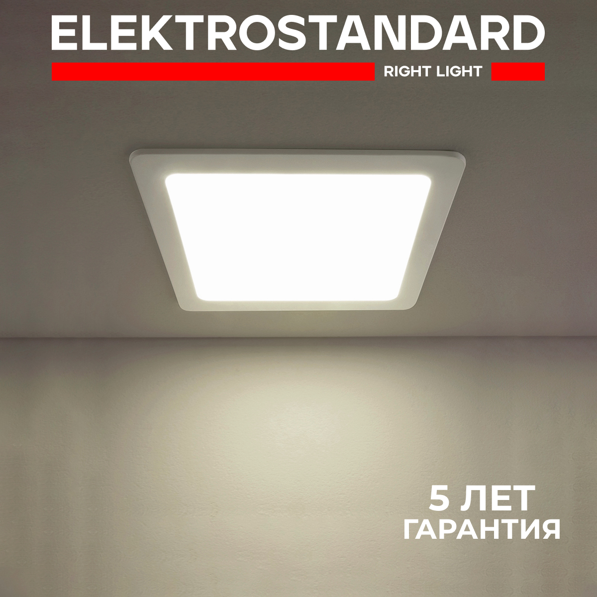 Встраиваемый светильник Elektrostandard DLS003 24W 4200K