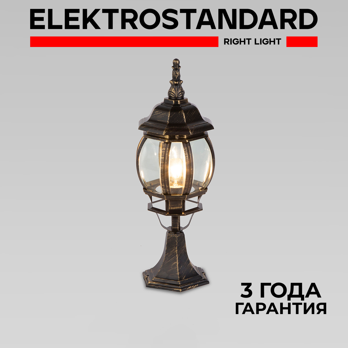 

Садовый светильник Elektrostandard Gl 1001s A034310, Gl 1001s