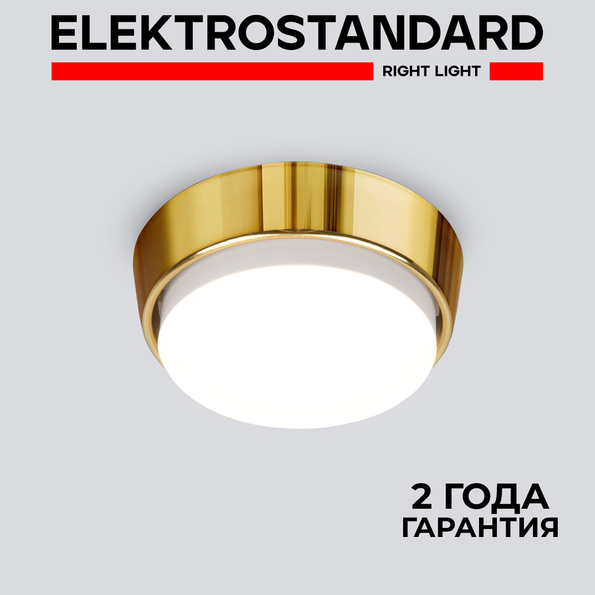 Накладной светильник Elektrostandard 1037 GX53 GD Золото