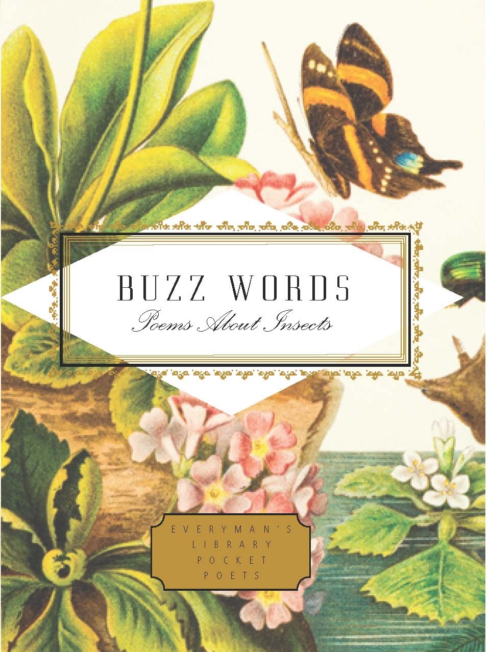 

Buzz Words Poems About Insects