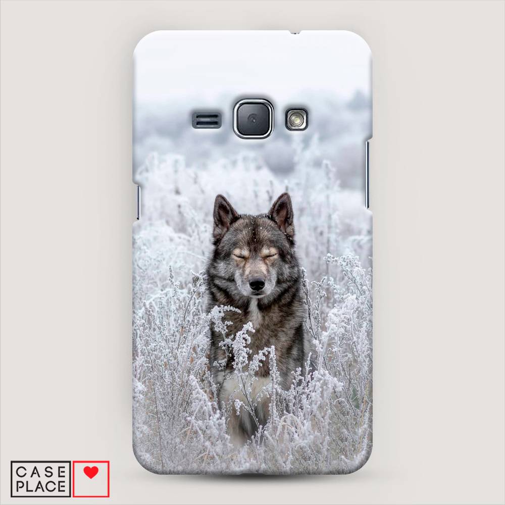 

Чехол Awog "Волк в поле" для Samsung Galaxy J1 2016