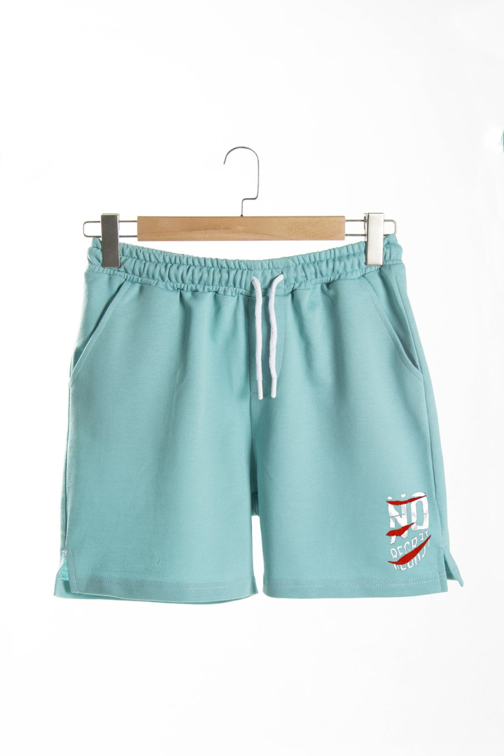 

Шорты мужские Terapi Giyim 26257 зеленые L (доставка из-за рубежа), Зеленый, 26257