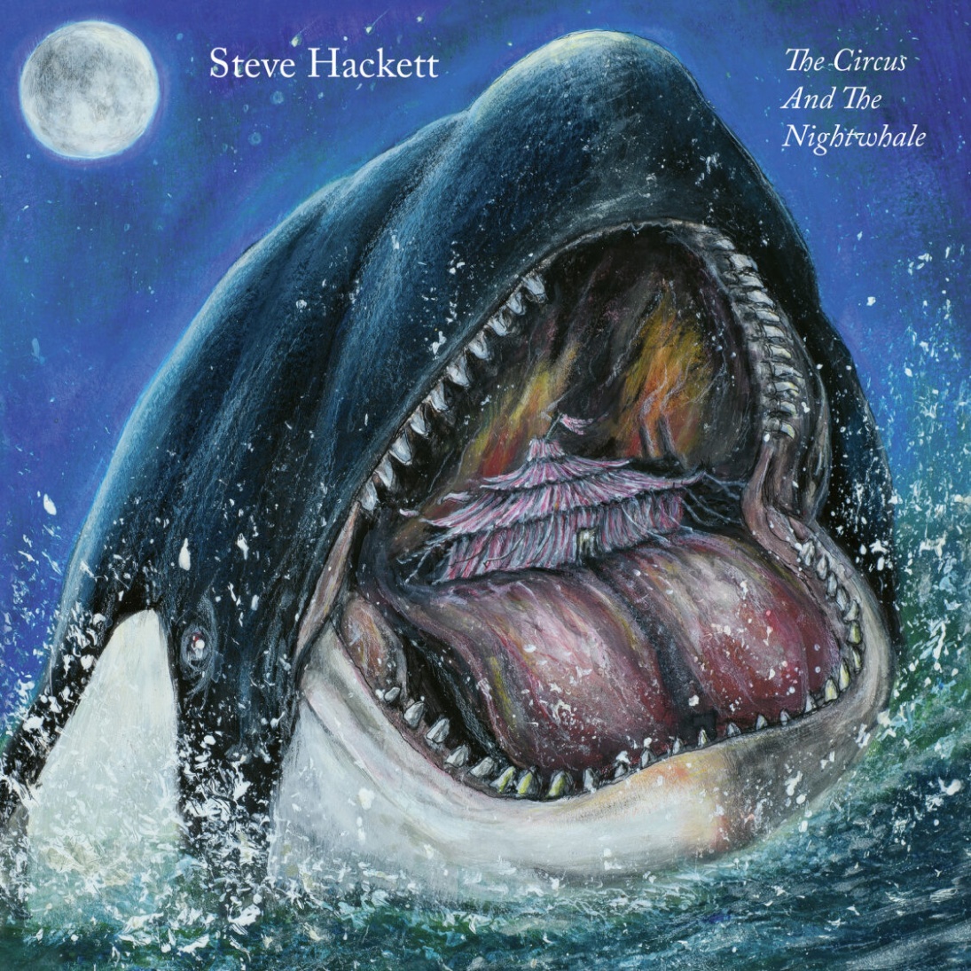 Steve Hackett The Circus And The Nightwhale Red LP 5790₽