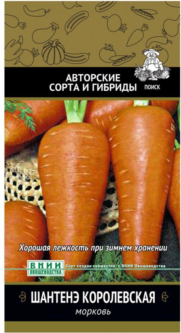 

Семена морковь Шантенэ королевская Поиск, Шантенэ Королевская