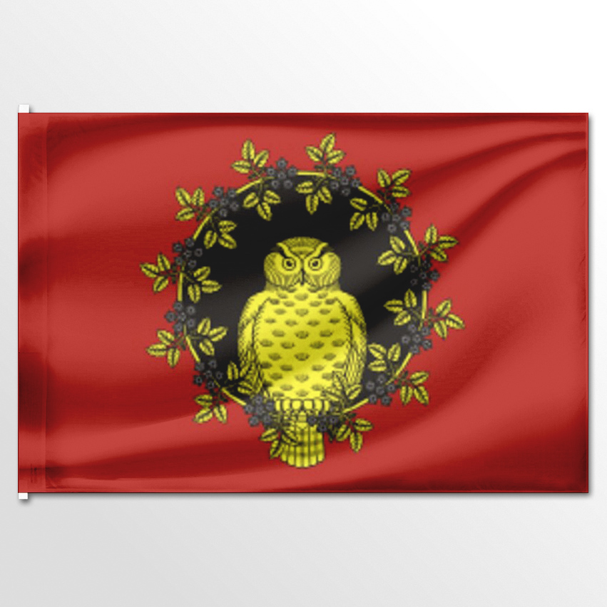 

Флаг ЦТП ФЕНИКС Беседского сельского поселения 135x90 см, 3360-135x90