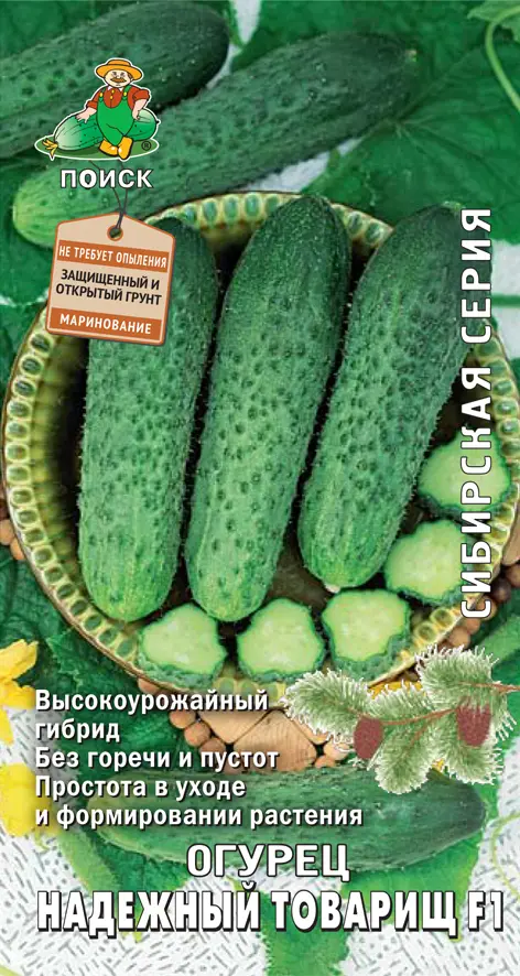 

Семена огурец Надежный товарищ F1 Поиск SSS-83123520 1 уп.