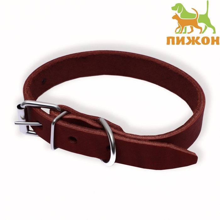 

Ошейник для собак Пижон кожаный однослойный, 45 х 2 см, ОШ 25-35 см, коричневый