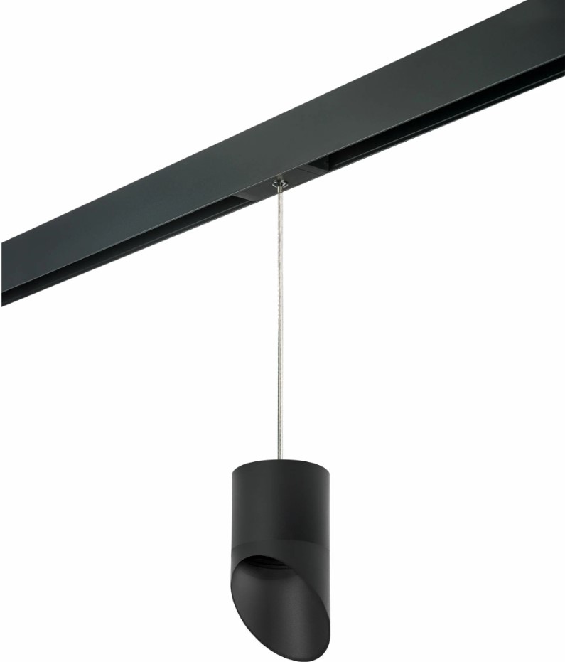 

Светильник на штанге Lightstar Rullo PRO348787, PRO348787