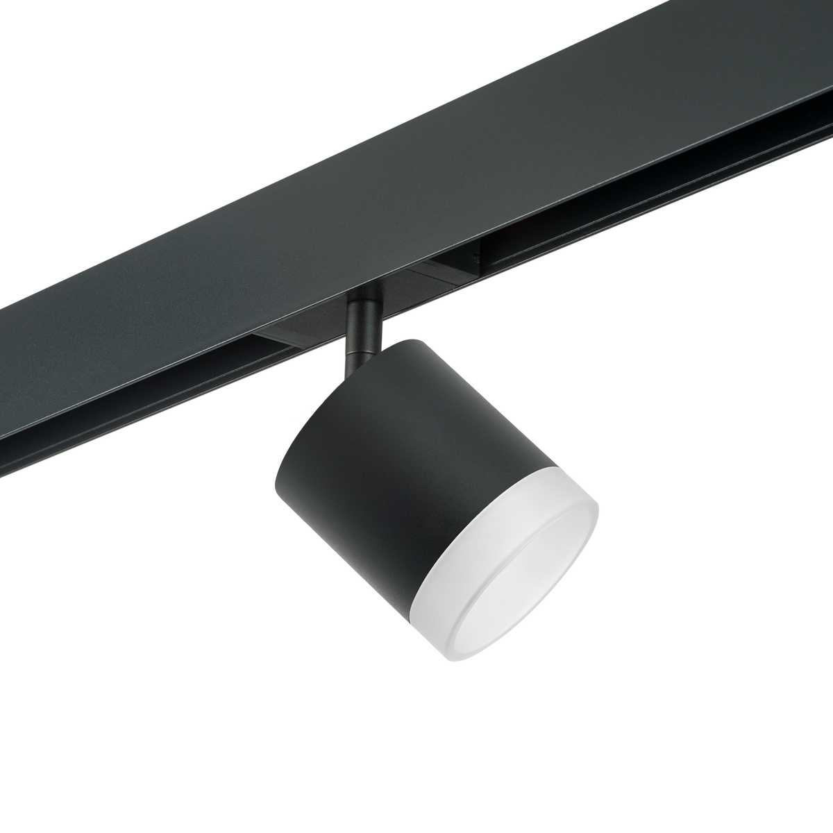 

Светильник на штанге Lightstar Rullo PRO348780, PRO348780
