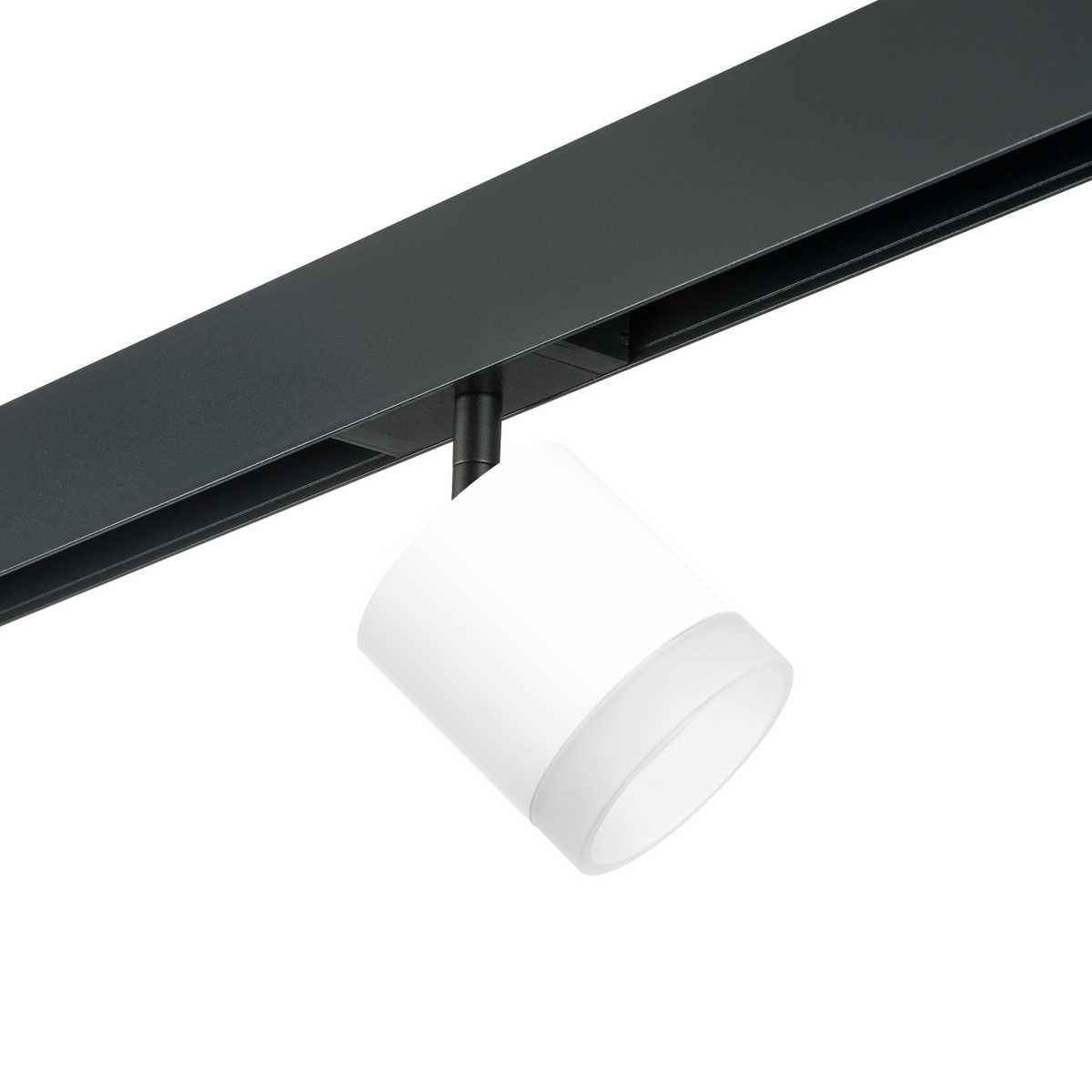 

Светильник на штанге Lightstar Rullo PRO348680, PRO348680