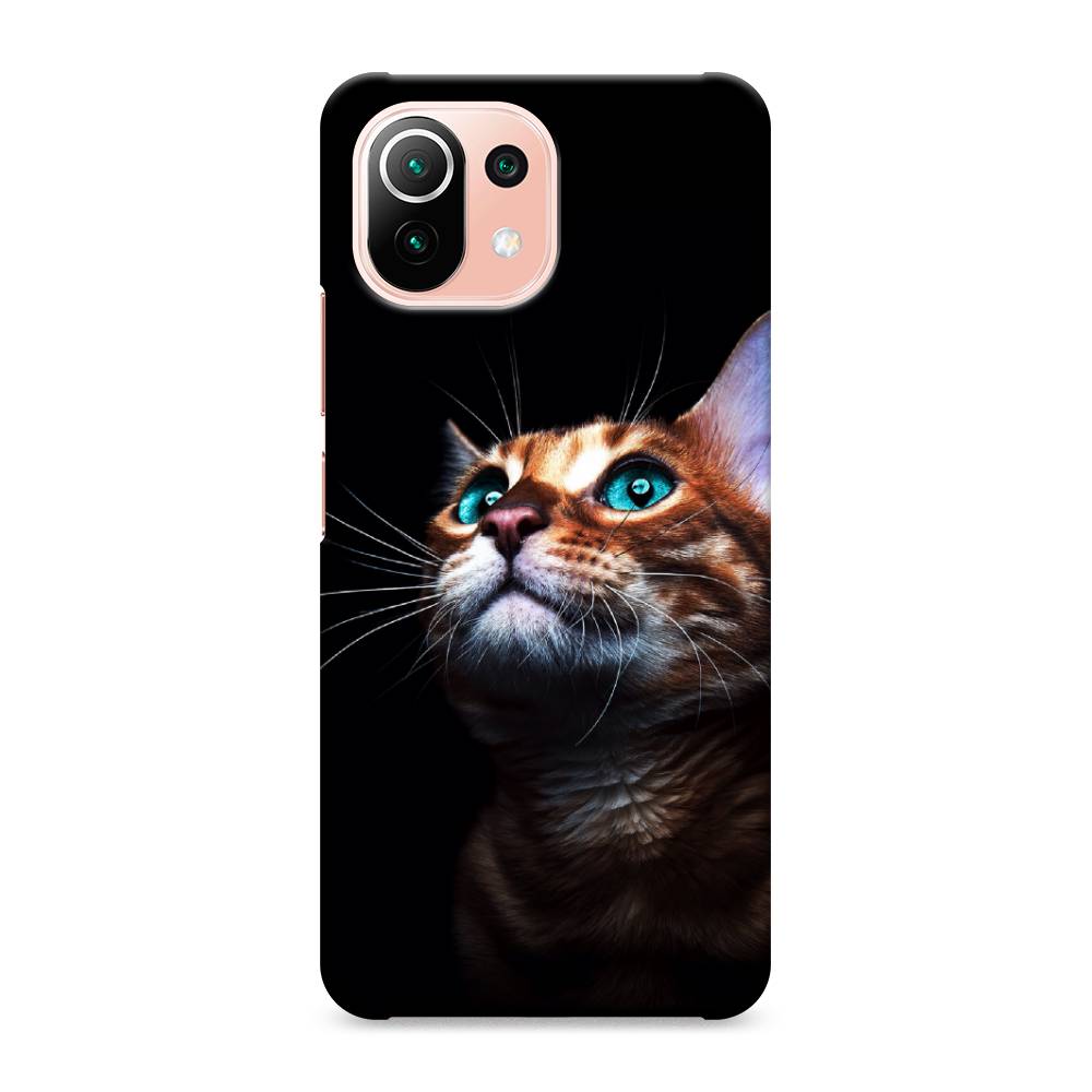 

Пластиковый чехол "Мечтательный кот" на Xiaomi Mi 11 Lite, 310220-1