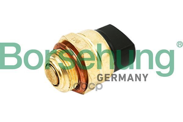 

Датчик температуры Borsehung b18290