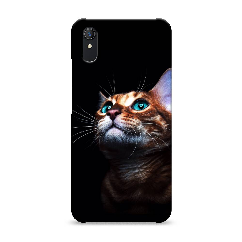 

Пластиковый чехол "Мечтательный кот" на Vivo Y1s, 263220-1