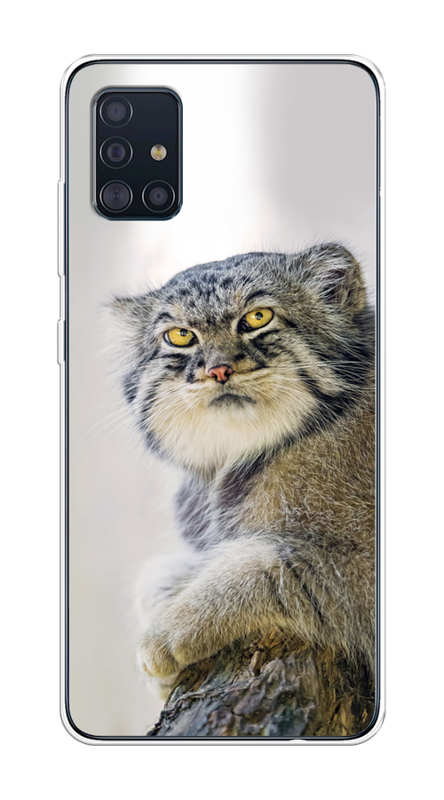 

Чехол на Samsung Galaxy A51 "Кот манул 1", Серый;белый;желтый, 28950-1