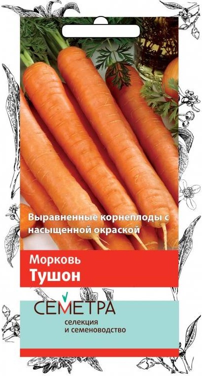 Семена морковь Тушон Семетра 694083