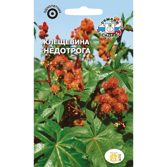 

Семена клещевина Недотрога СеДеК 1 уп., Недотрога