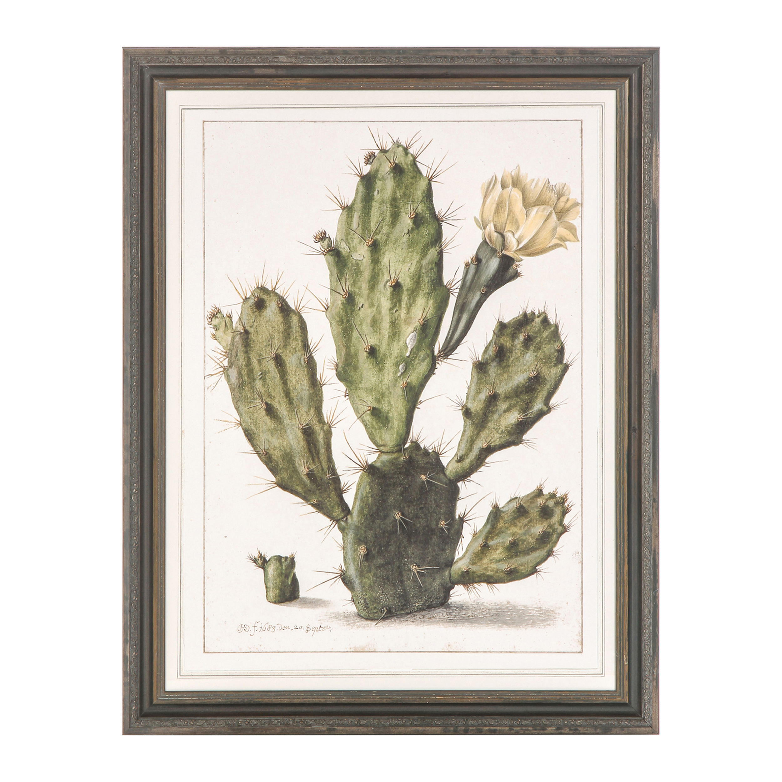 

Постер Opuntia Cactus 69,2х89,2
