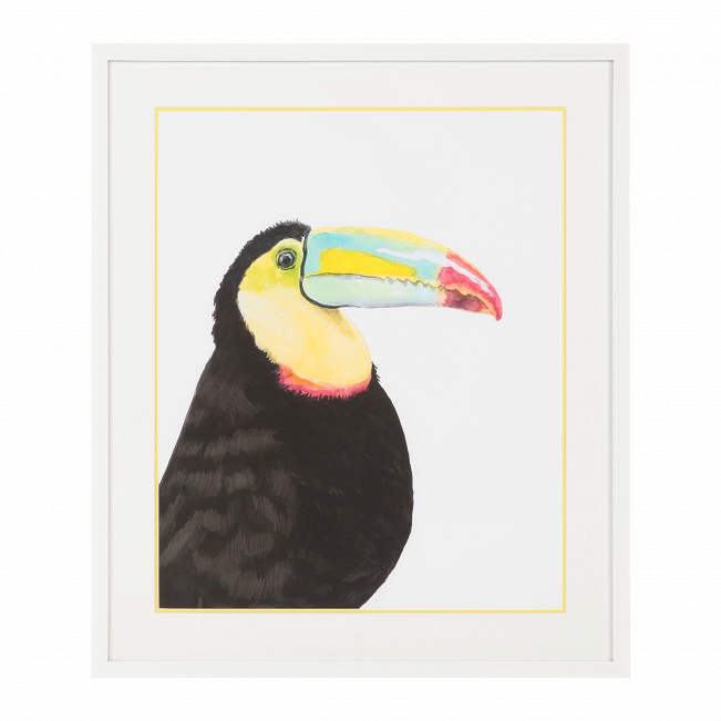 

Постер Toucan 64,6х75,6