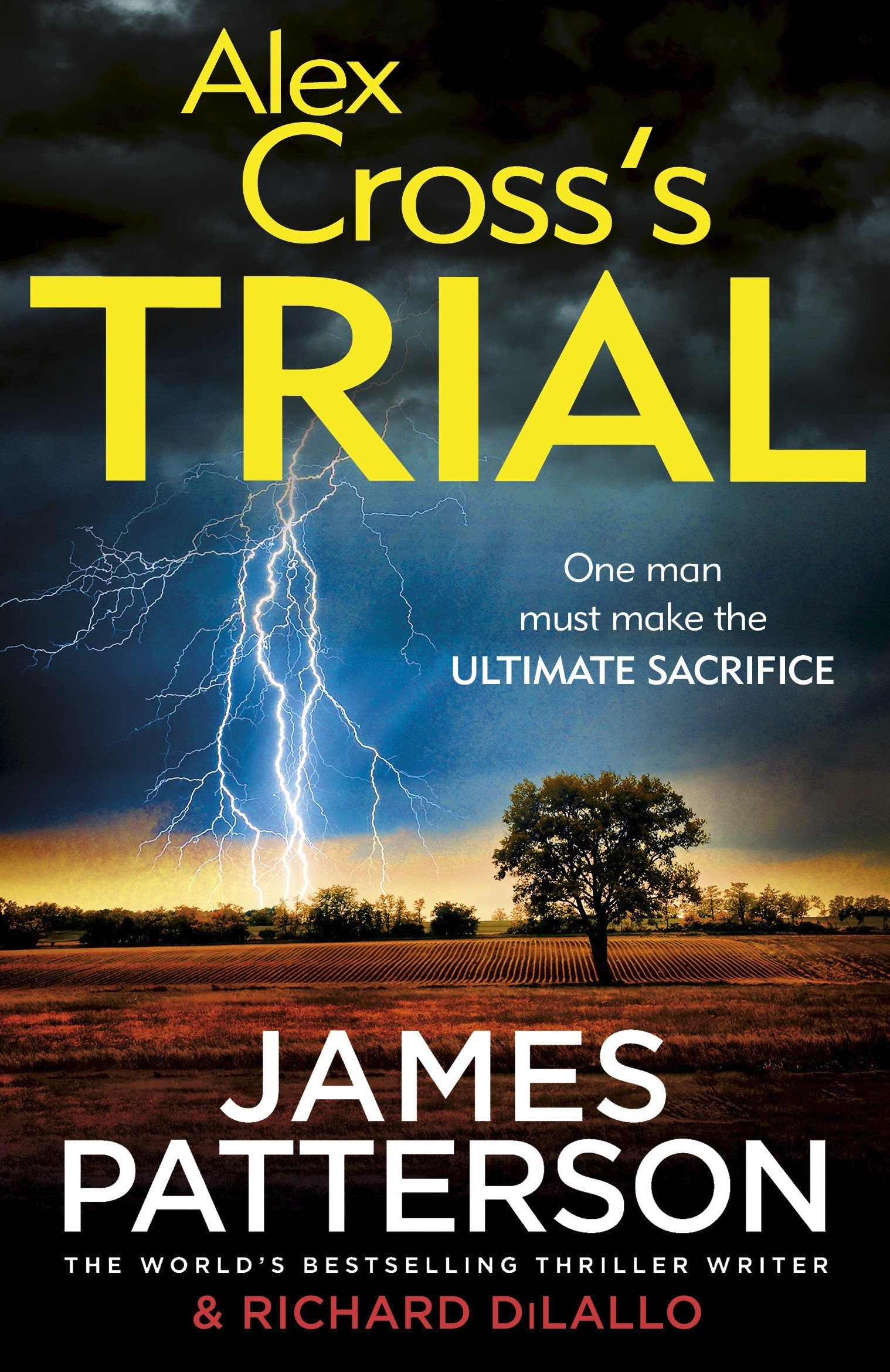 

Alex Cross's Trial