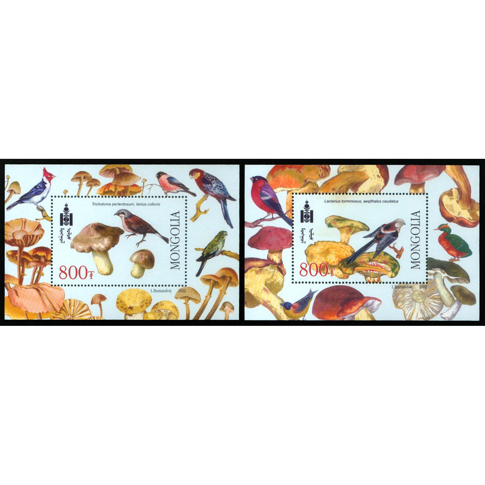 

Почтовые марки Монголия Грибы и птицы Птицы, Грибы, mn820