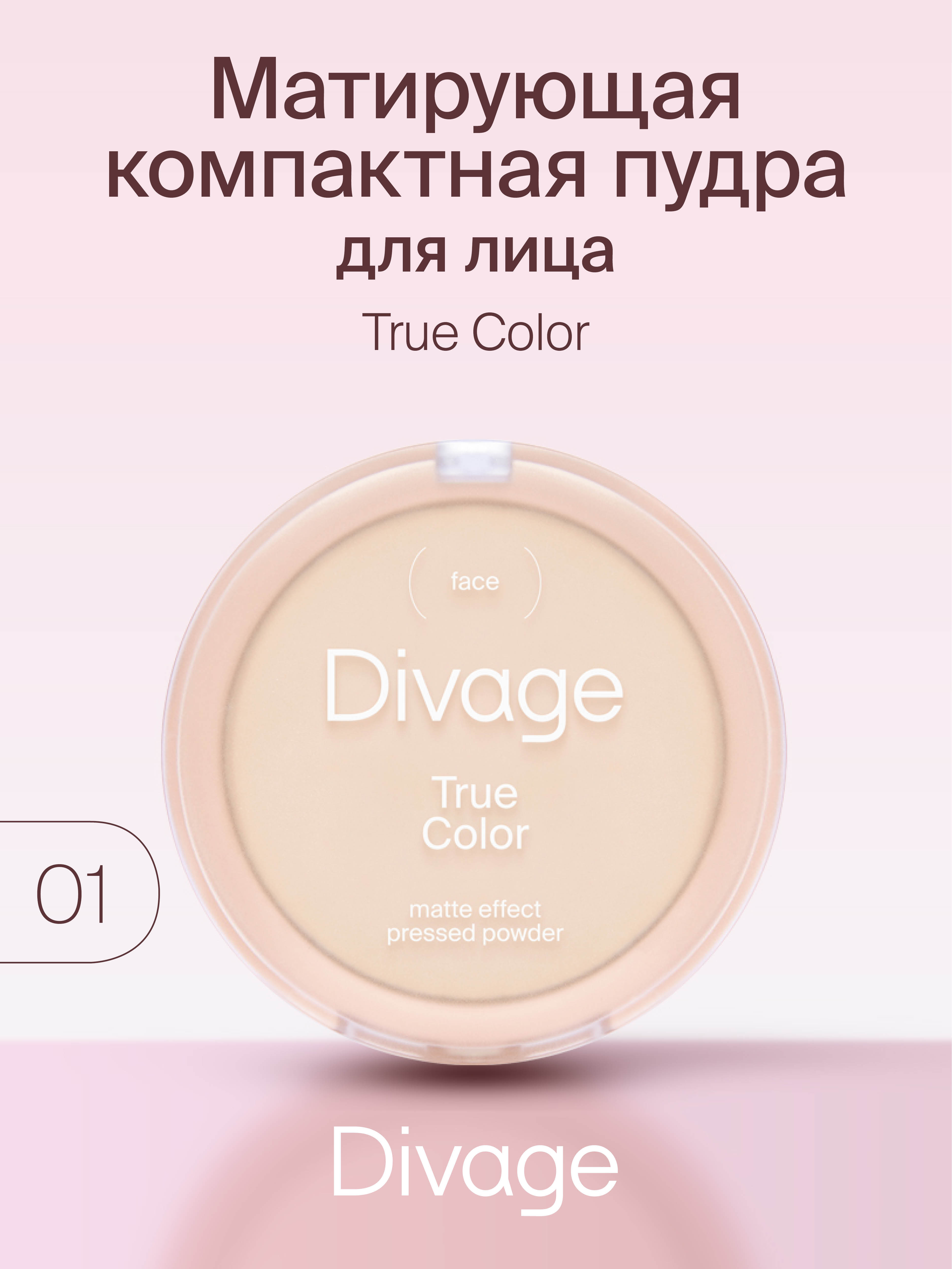 Пудра компактная Divage True Color № 01 fair