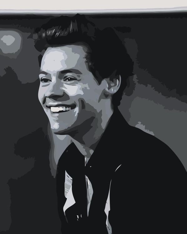 

Картина по номерам Живопись Harry Styles Z-NA205