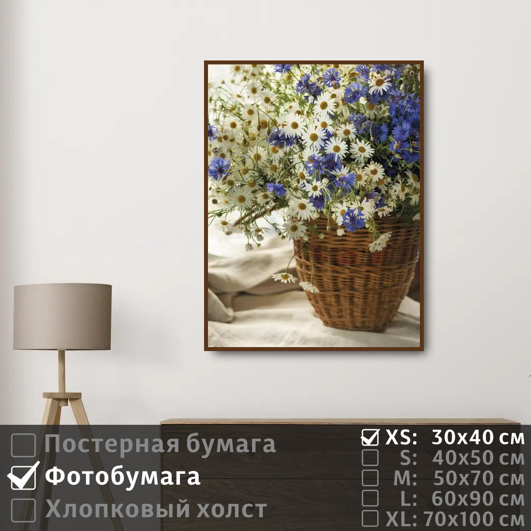 

Постер на фотобумаге ПолиЦентр Васильки и ромашки 30х40 см, ВасилькиИРомашки