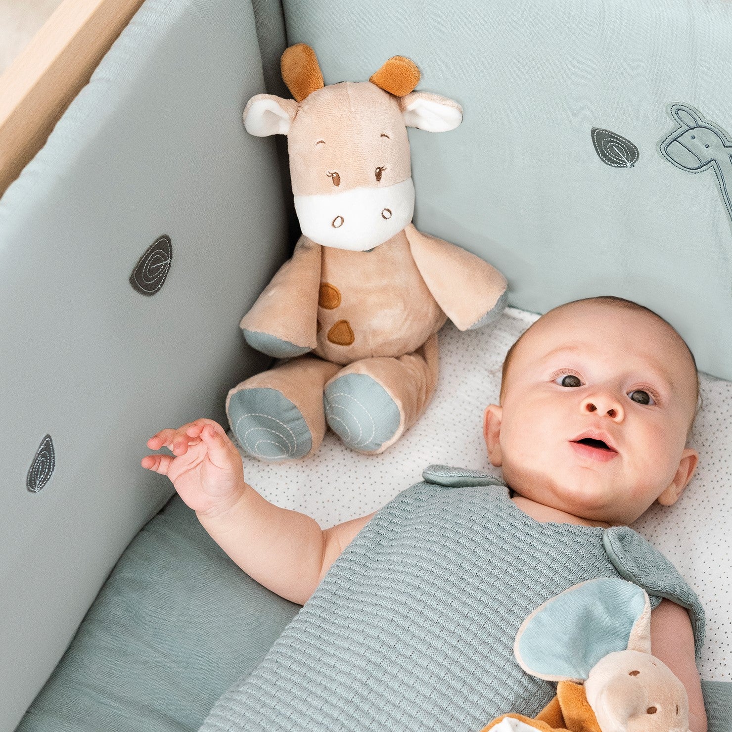 

Игрушка мягкая Nattou Rattle MINI Luna & Axel Жираф 748032 (166637), Бежевый